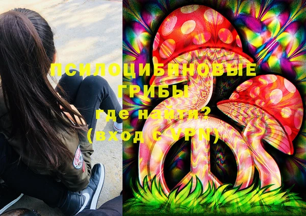 прущая мука Абаза