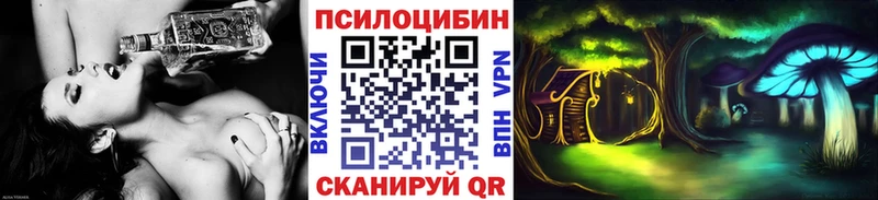 Галлюциногенные грибы Psilocybine cubensis  Шилка 